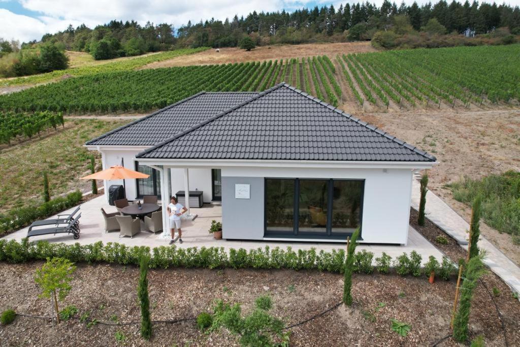 טראבן-טרארבאך Neu - Premium-Ferienhaus Mosel-Sonne מראה חיצוני תמונה