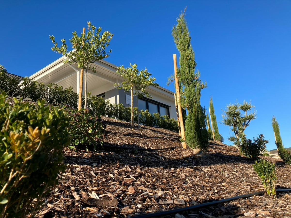 טראבן-טרארבאך Neu - Premium-Ferienhaus Mosel-Sonne מראה חיצוני תמונה